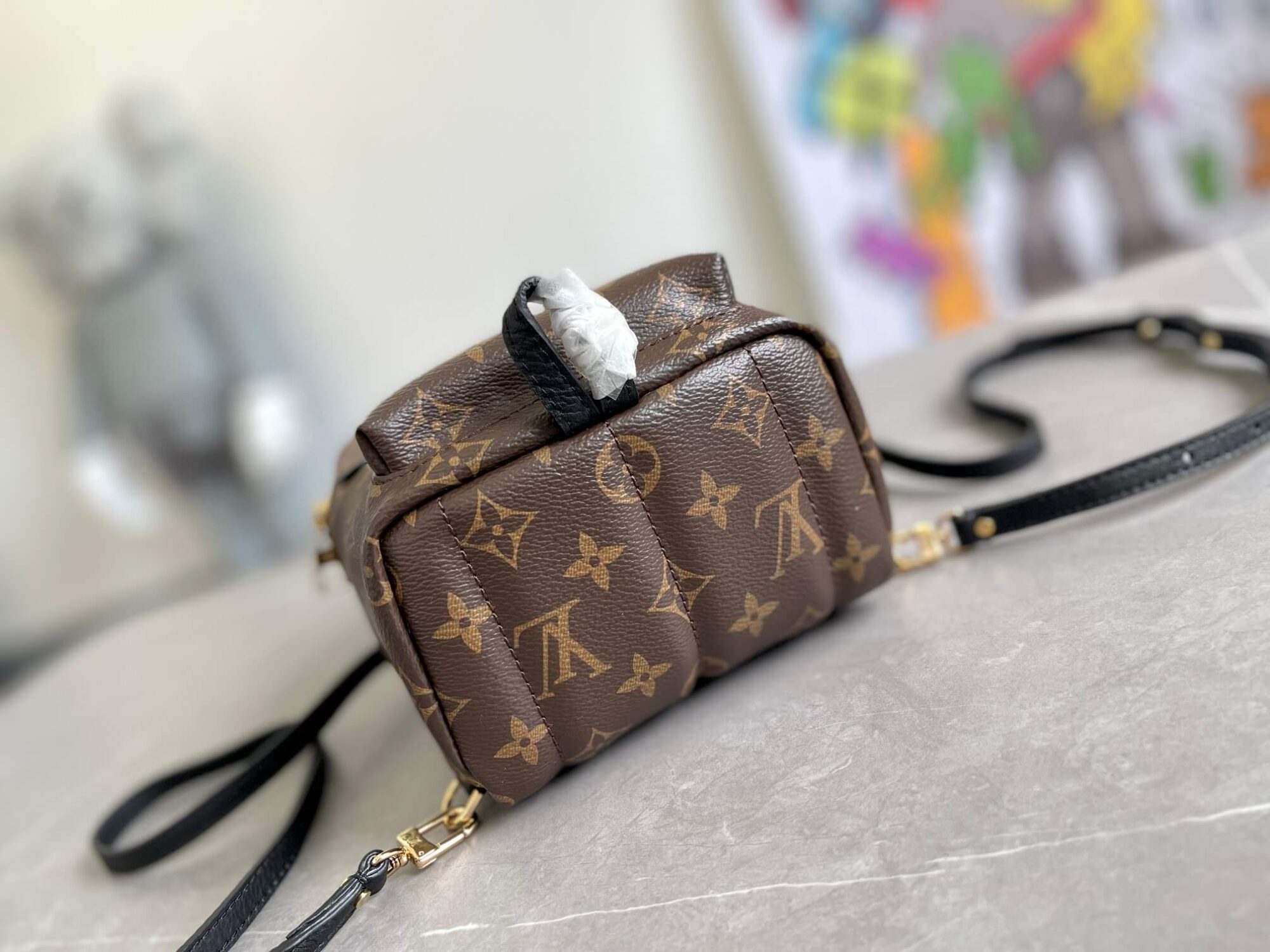 Louis Vuitton LV Monogram Canvas Palm Springs Mini Backpack Bag M44873 Brown M42411 Caramel Brown - Image 9
