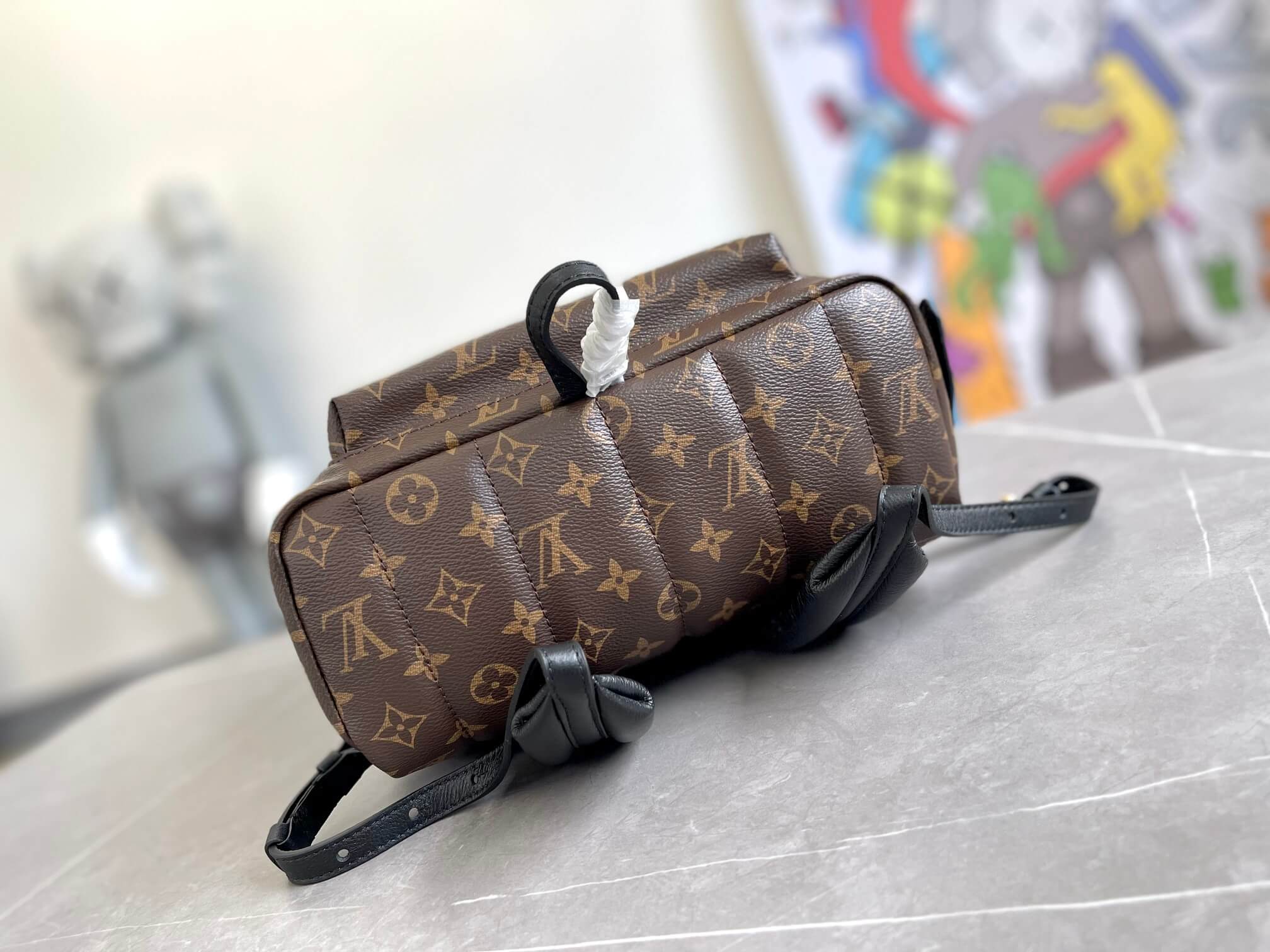Louis Vuitton LV Monogram Canvas Palm Springs Backpack Bag M44874 Brown - Image 9