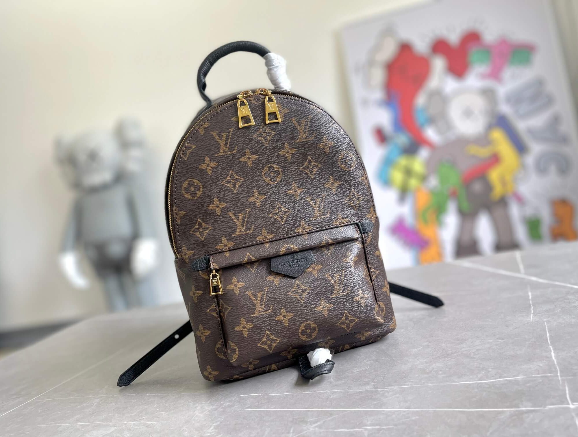 Louis Vuitton LV Monogram Canvas Palm Springs Small Backpack Bag M44871 Brown