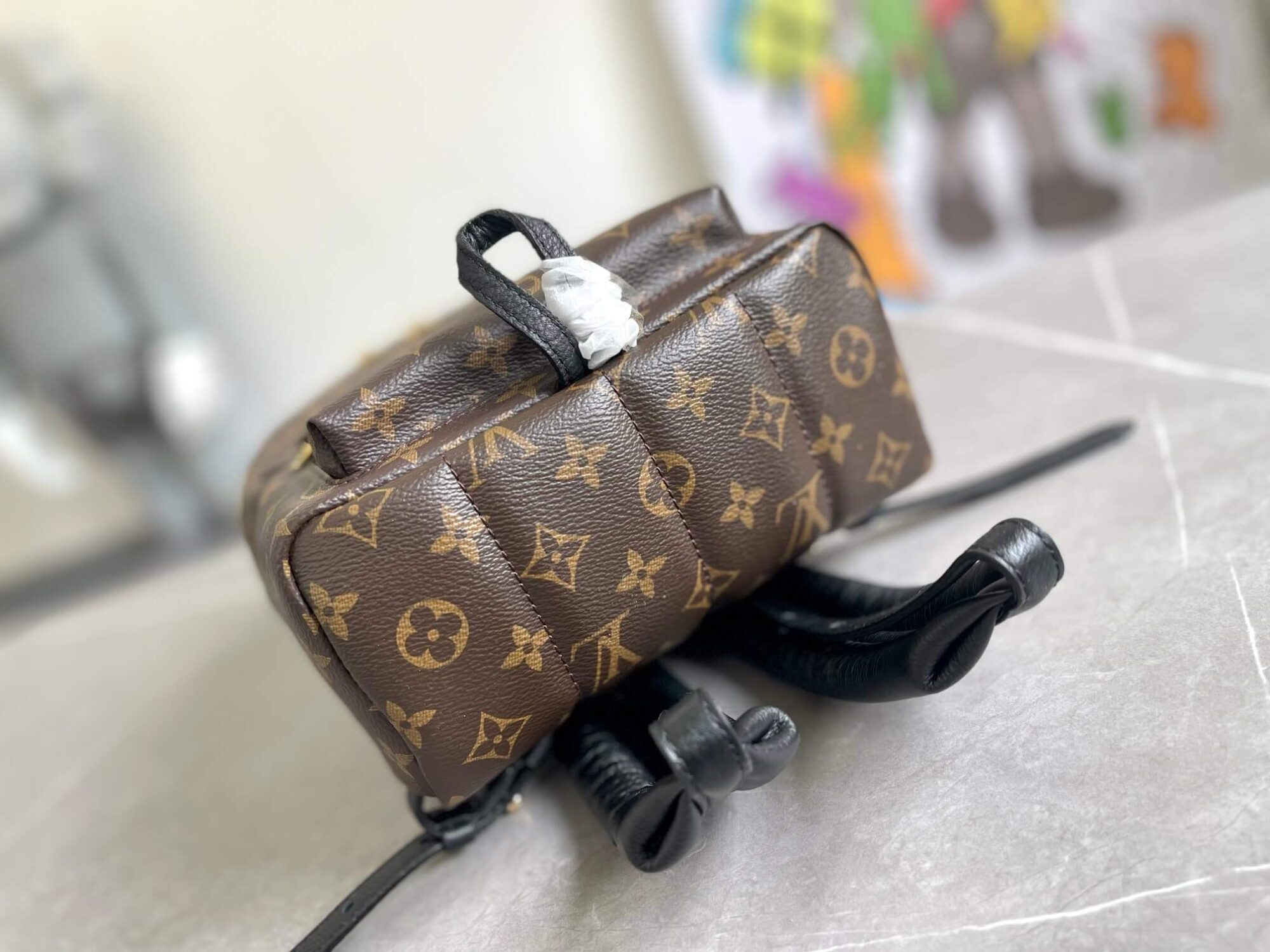 Louis Vuitton LV Monogram Canvas Palm Springs Small Backpack Bag M44871 Brown - Image 9