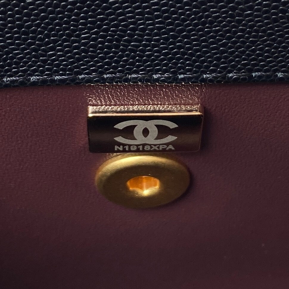 Chanel Coco Handle Quilted Caviar Leather Shoulder Crossbody Handbag - Image 23