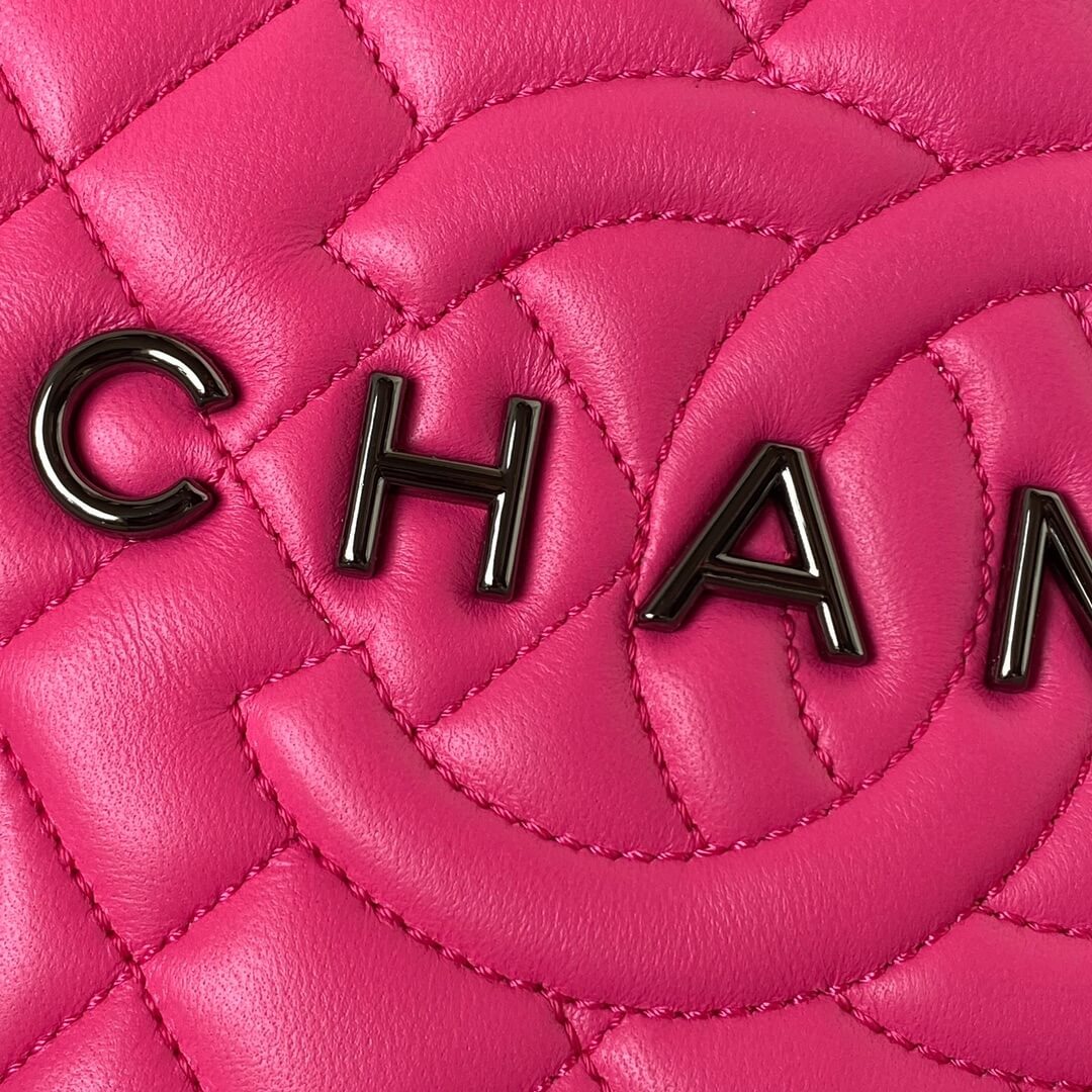 Chanel 24C Fame Star Quilted Lambskin Leather Shoulder Crossbody Bag - Image 52