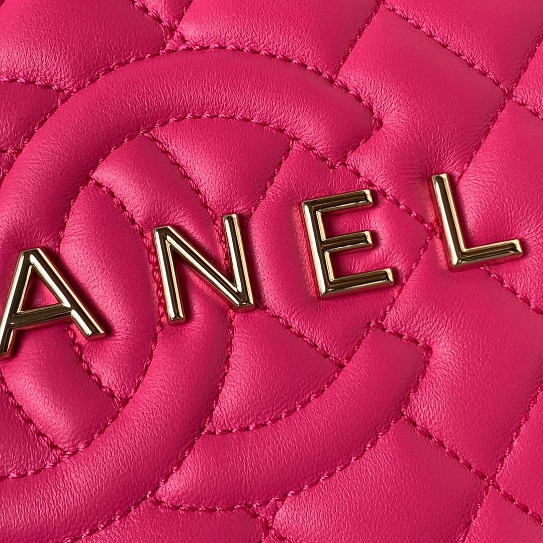 Chanel 24C Fame Star Quilted Lambskin Leather Shoulder Crossbody Bag - Image 42